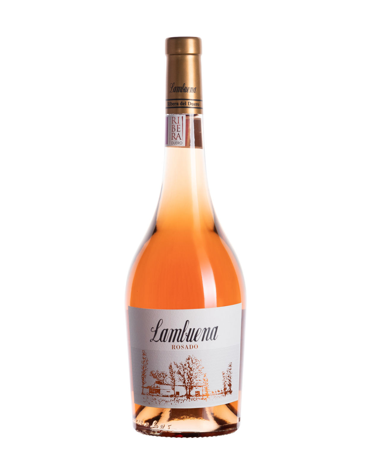 Lambuena Rosado Selección (2021)