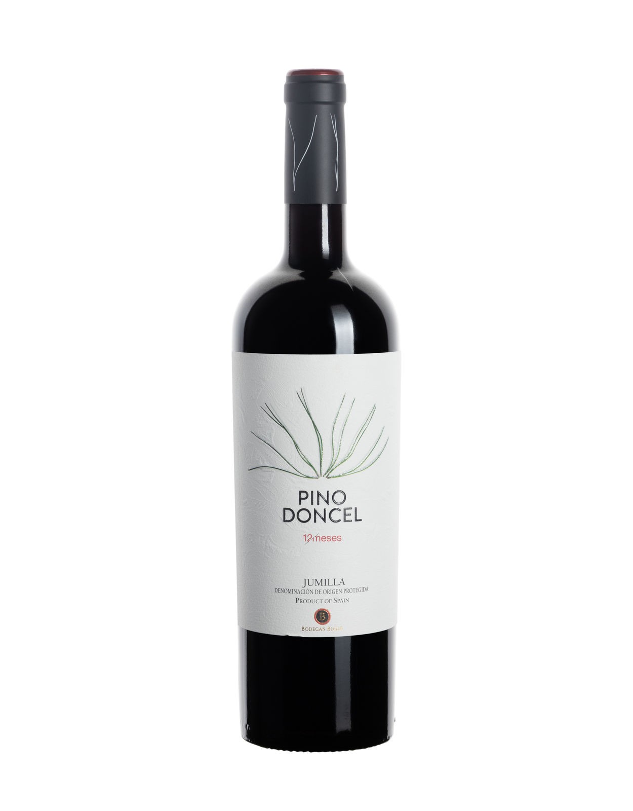 Pino Doncel 12 Meses (2023)
