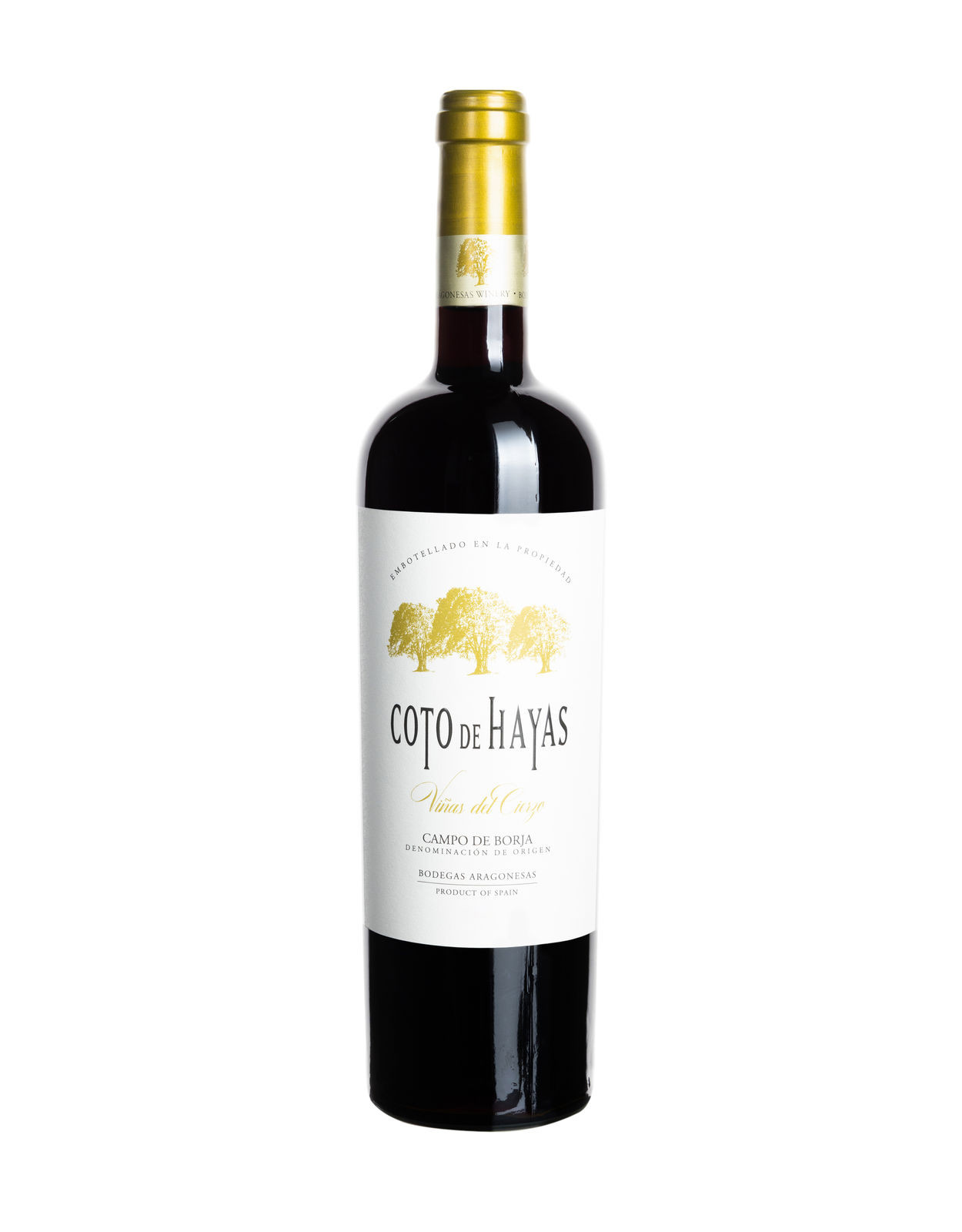 Coto de Hayas Viñas del Cierzo (2018)