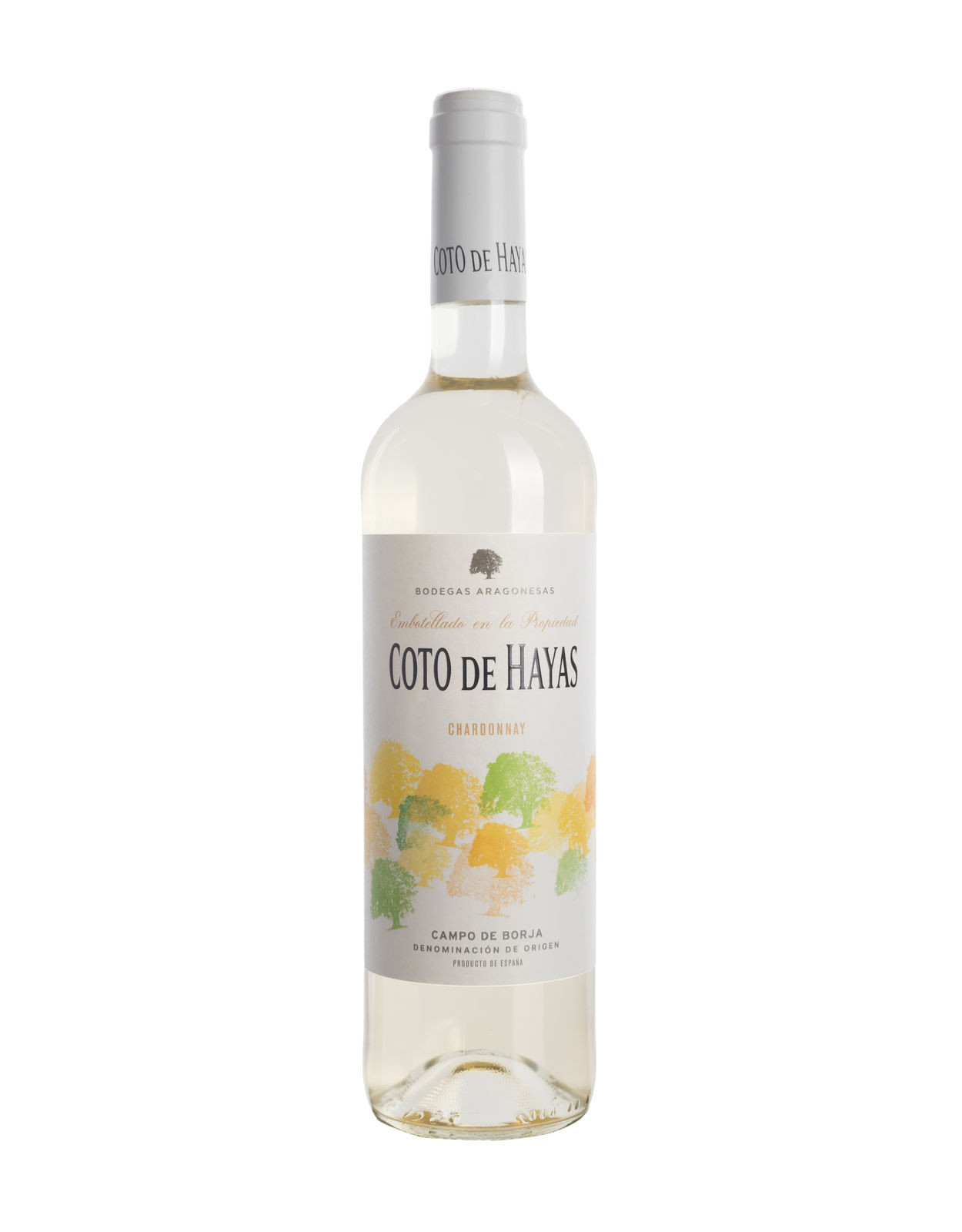 Coto de Hayas Blanco (2024)