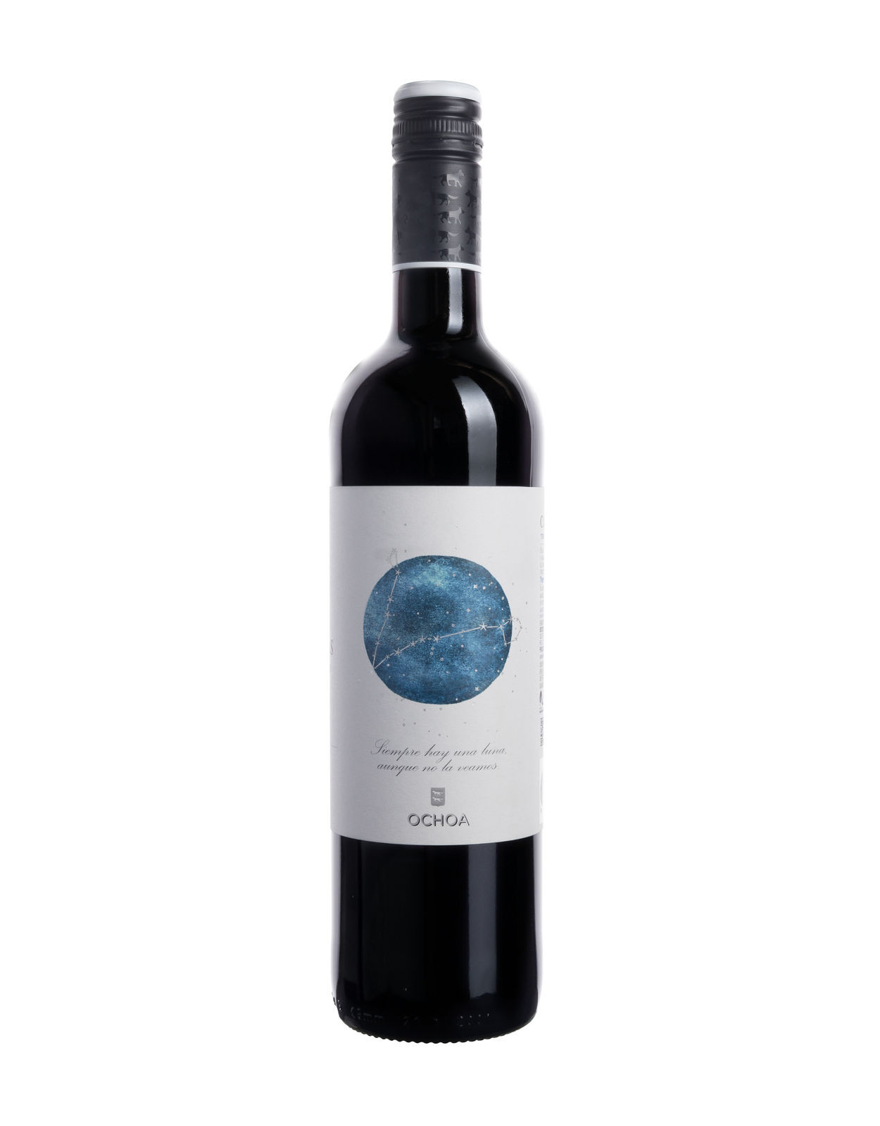 Ochoa Tinto Nude [BIO] (2024)