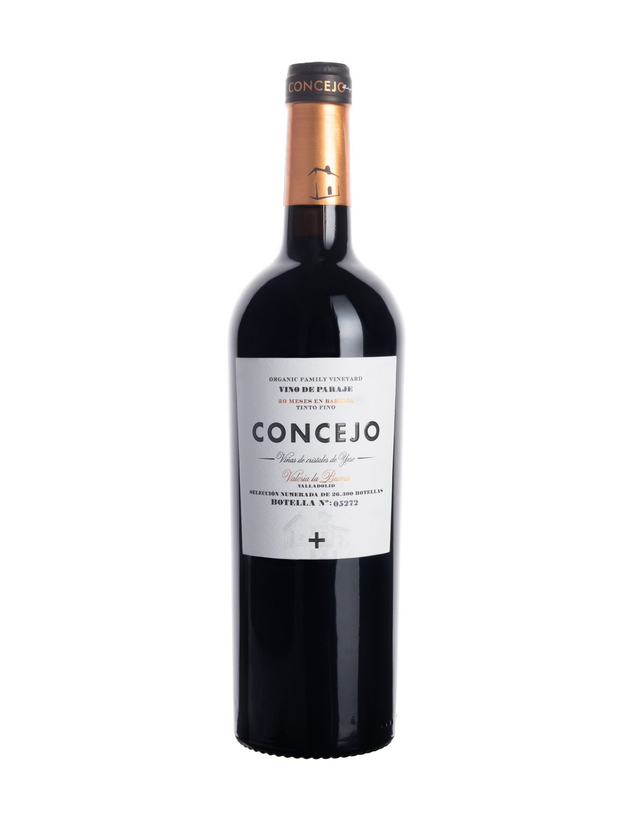 Concejo [BIO]
