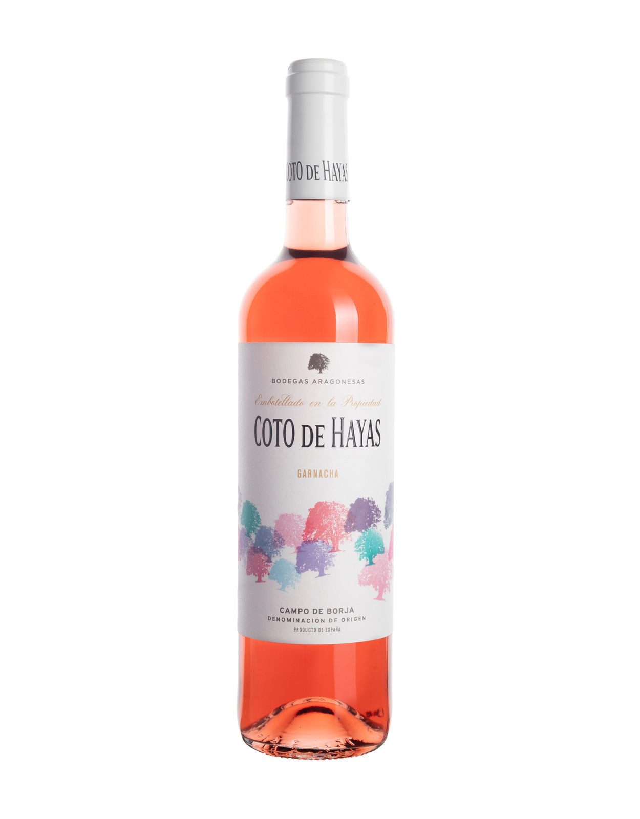 Coto de Hayas Rosado (2024)