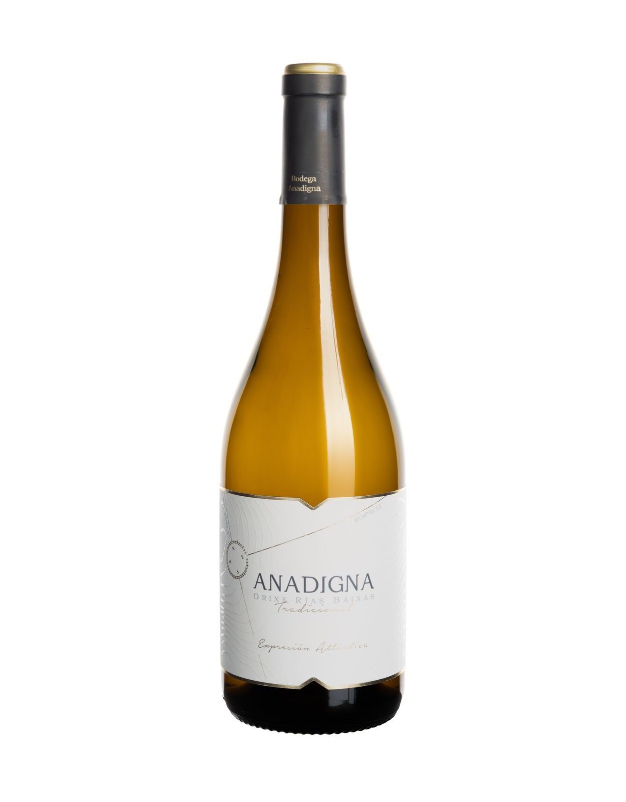 Anadigna (2023)