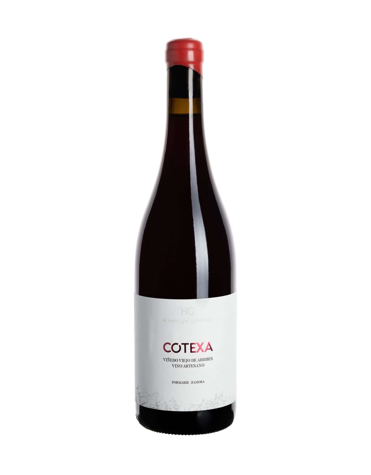 Cotexa (2022)